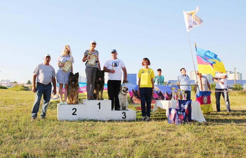 Відкритий чемпіонат ТСО України