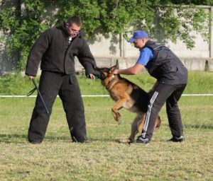 Виставка САС-КСУ у м.Кропивницький 25.05.2019 р.