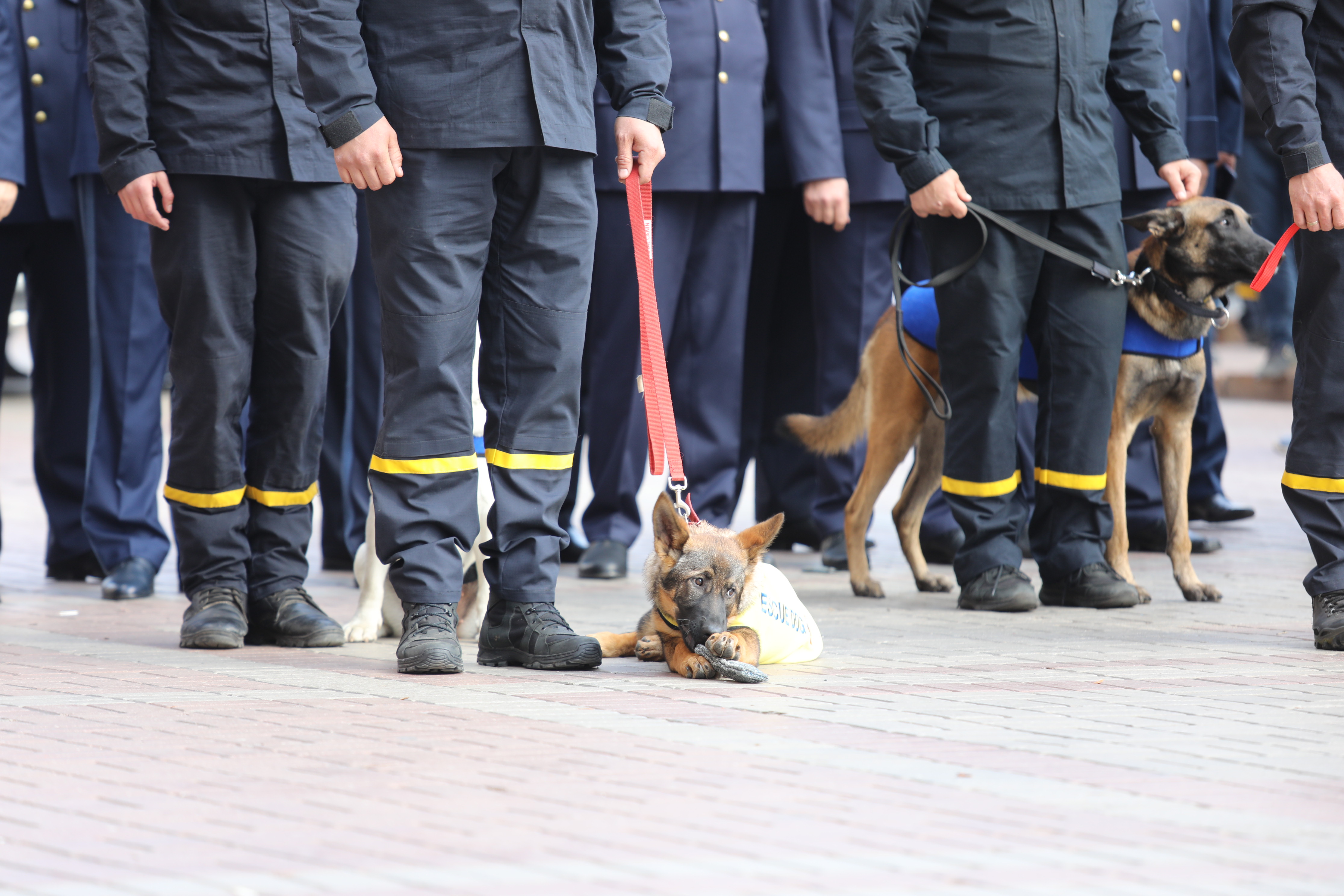 День рятівника на Хрещатику 21.09.2019