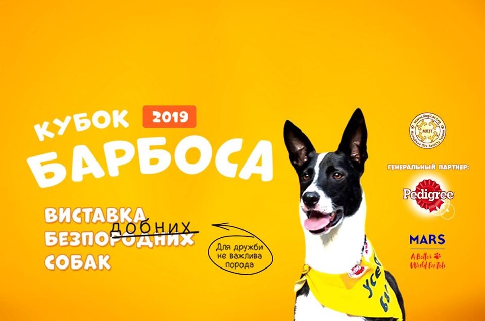 Кубок Барбоса 2019 - Виставка безпородних собак 06.10.2019