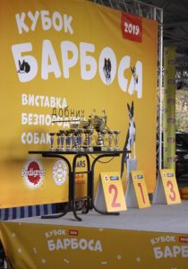 Кубок Барбоса 2019 - Виставка безпородних собак 06.10.2019